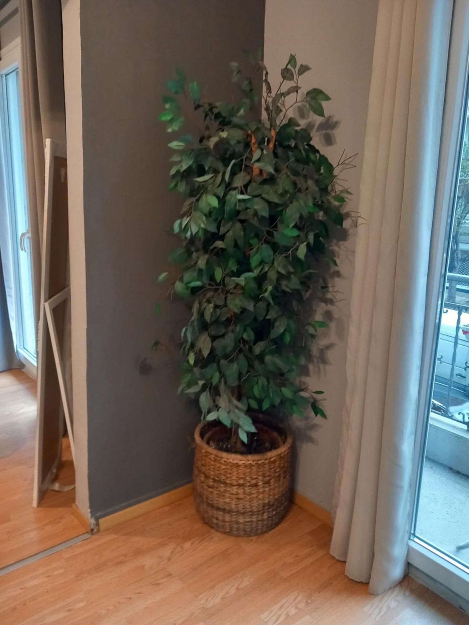 Closer "Egnatia Apartment 2" Selanik Dış mekan fotoğraf